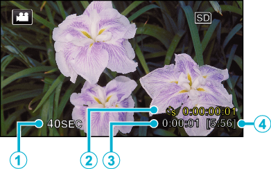 C3_Indications Time-Lapse